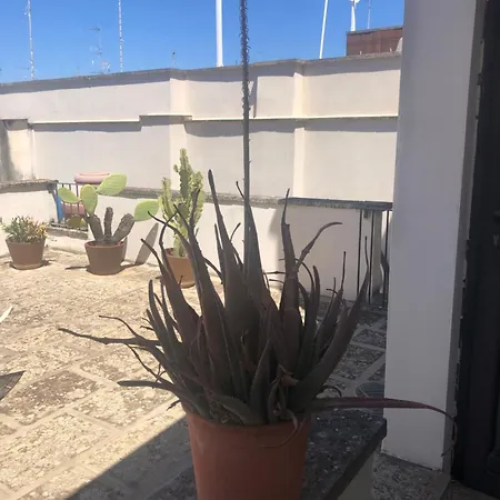 Bedlecce Apartament *